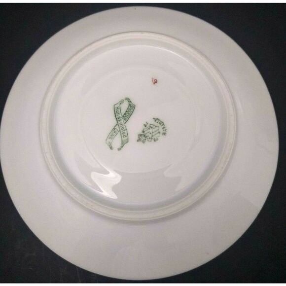 P.T. Tirschenreuth Bavaria Hand Painted Teacup and Saucer - Picture 5 of 7